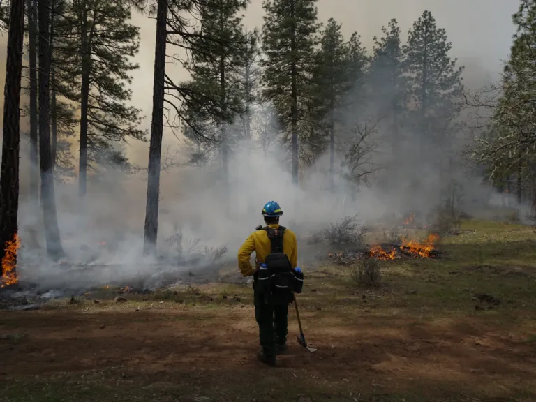 New burn bans and Trump’s battle with immigration and DEI are impacting forest fires