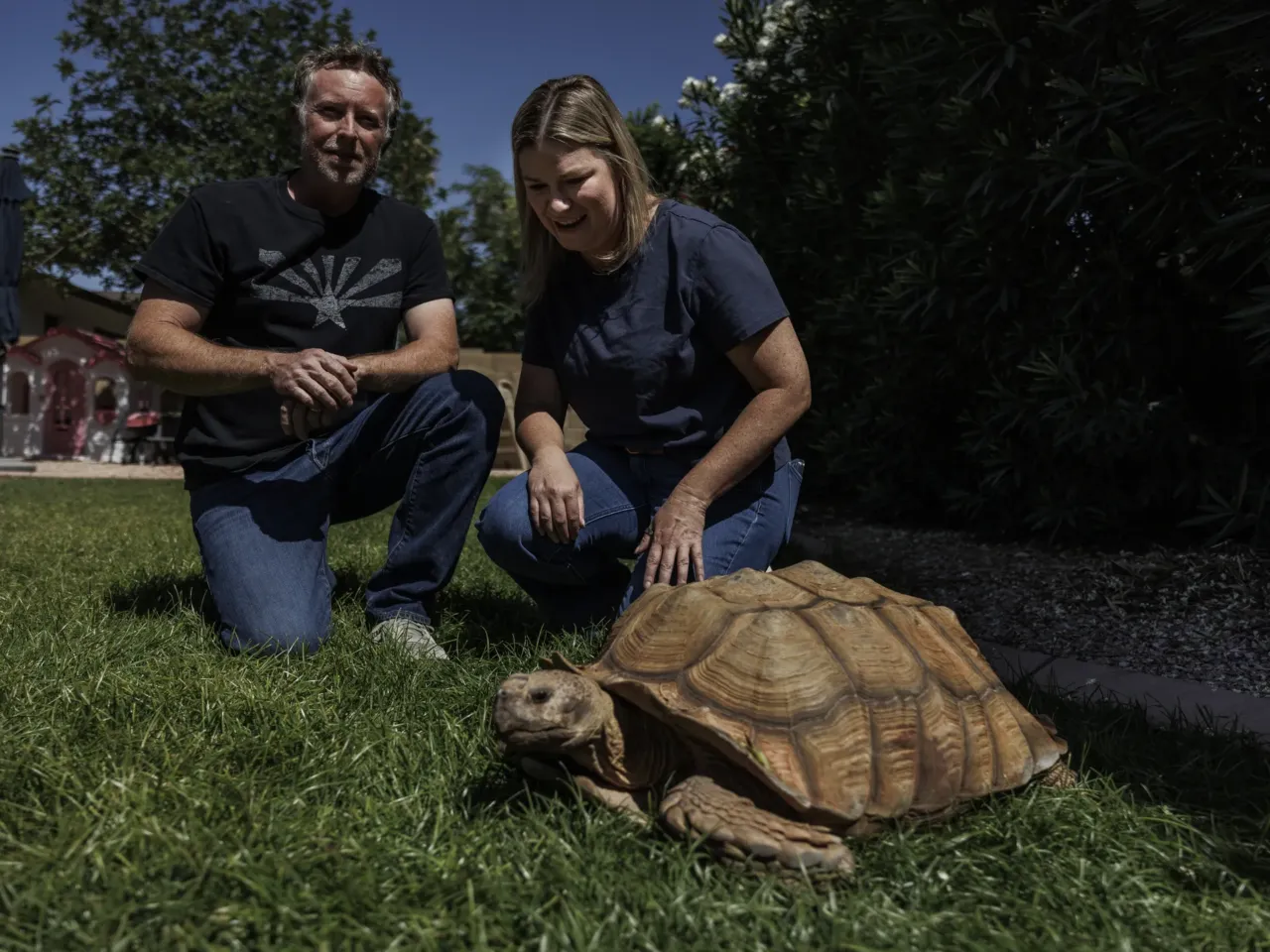 It takes a village – or a Phoenix suburb – to wrangle a wayward tortoise 5 Brian and Sara Westfall with Rex, the tortoise. They fostered him while searching for his owner.