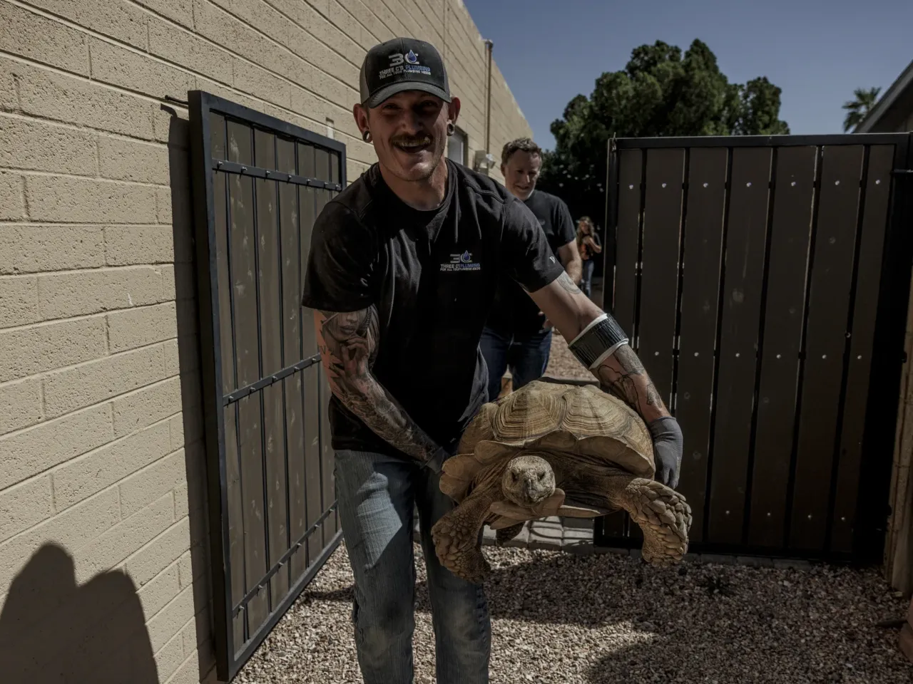 It takes a village – or a Phoenix suburb – to wrangle a wayward tortoise 6 Garret Beshey carries Rex, the tortoise, to his truck. Mr. Beshey is adopting him.