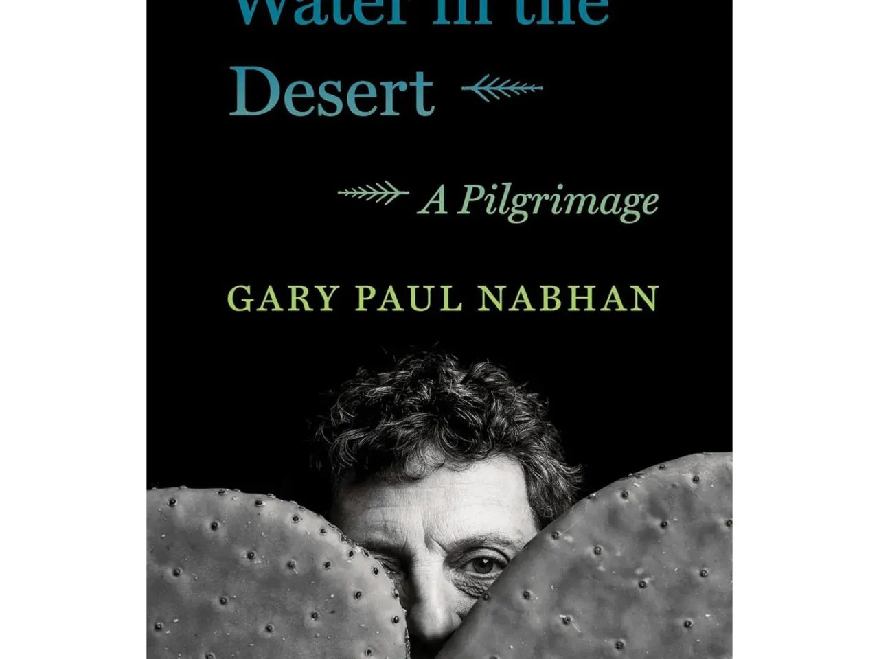 15 books our critics can't wait for this summer 1 468688 714kytuc9gl sl1500