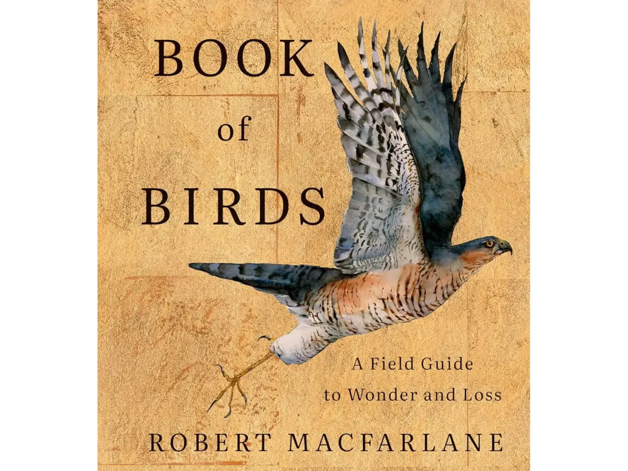 15 books our critics can't wait for this summer 3 468690 a1uyxbqa2il sl1500