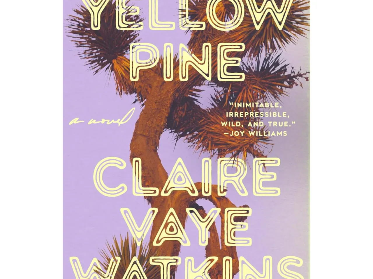 15 books our critics can't wait for this summer 14 468701 81rqsvq47ml sl1500