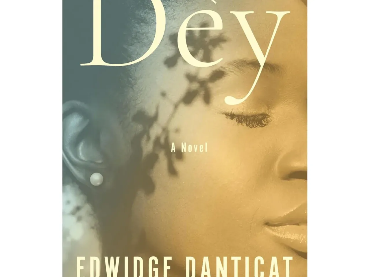 15 books our critics can't wait for this summer 15 468702 71 tweyrsnl sl1500