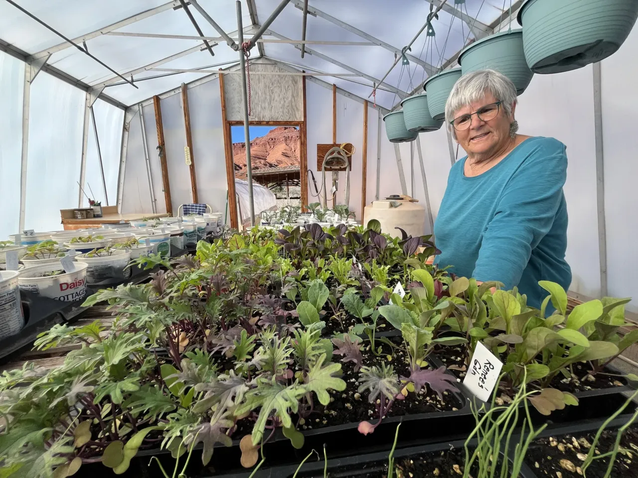 In conservative Utah, some communities are ditching fossil fuel power for clean energy 9 Castle Valley resident Alice Drogin checks on plants at her small business, Canyon Nursery. She's hopeful her greenhouses will someday run on clean power because of the Utah program. "I have in-floor heating, so I do like my electricity," she said, "and I would love to be able to have it sourced with renewable types of energy."