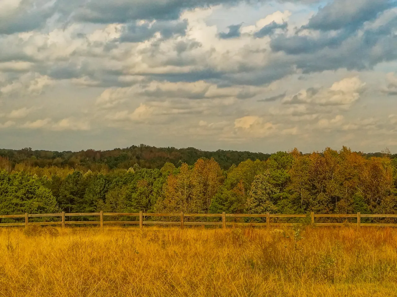 This year's list of endangered historic places focuses on equality and erasure 10 A portion of the Hanging Rock Battlefield, owned by the South Carolina Battleground Trust, that is not currently open to the public.