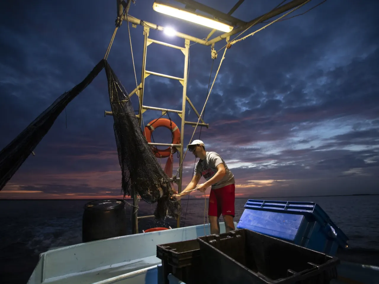 Gulf shrimpers want help from Congress as fuel costs climb 2 Caleb Hanson, grandson of longtime shrimper Acy Cooper, empties a net of shrimp and bycatch during an overnight shift of shrimping on August 26, 2019 off the coast of Plaquemines Parish, La.