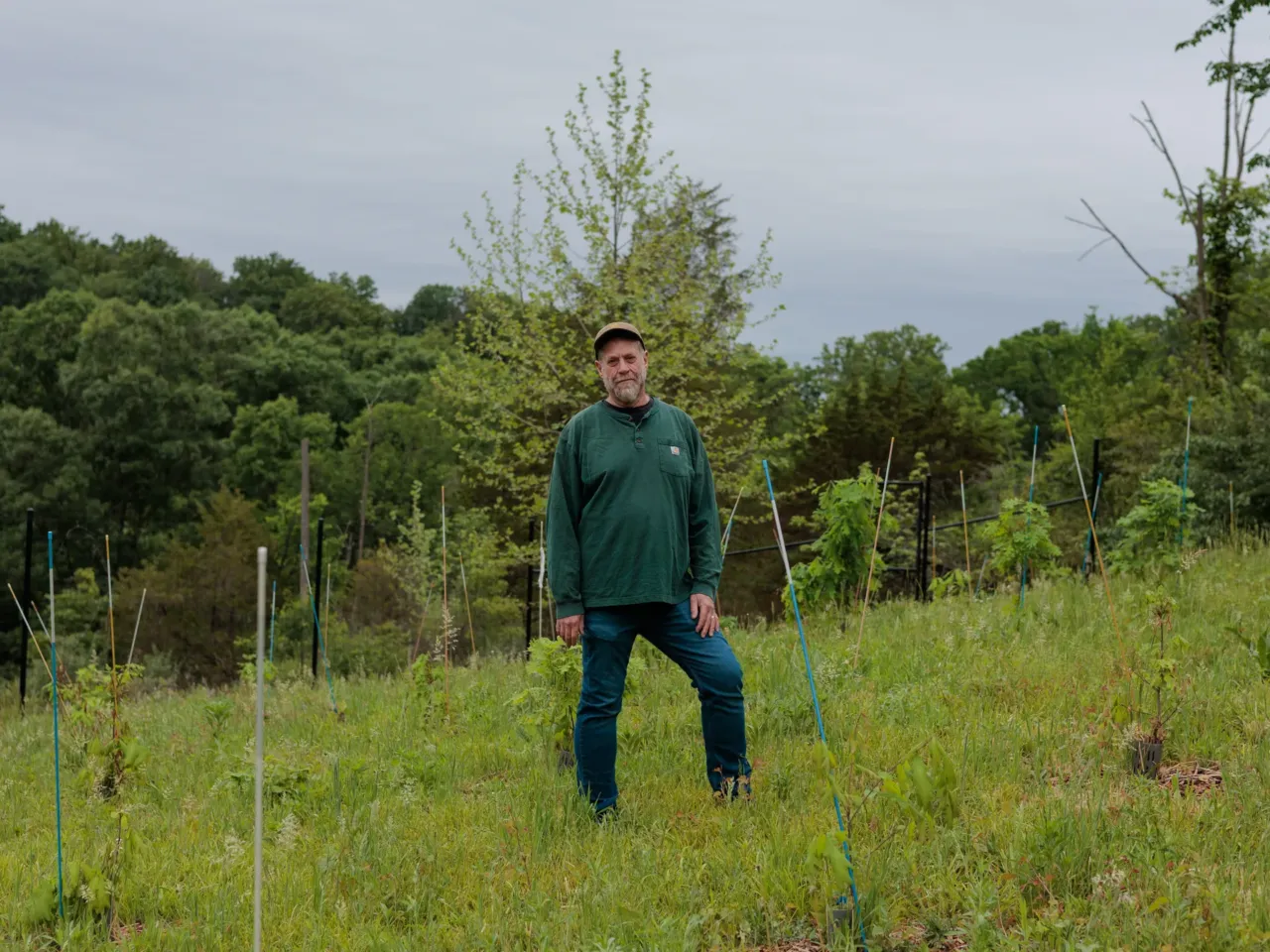 The Forest Service wants to close research hubs to save money. That could be costly 3 Morgan Grove stands at a research plot in Baltimore where scientists are studying how fast oak seeds from different states grow in urban areas.