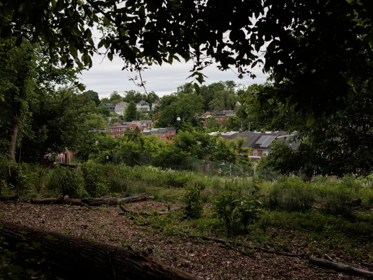 The Forest Service wants to close research hubs to save money. That could be costly 5 At the Stillmeadow Community Fellowship Church in Baltimore, Forest Service scientists cleared the church's 10-acre land of dead trees so that scientists could study forest regeneration and local families could enjoy the woods.