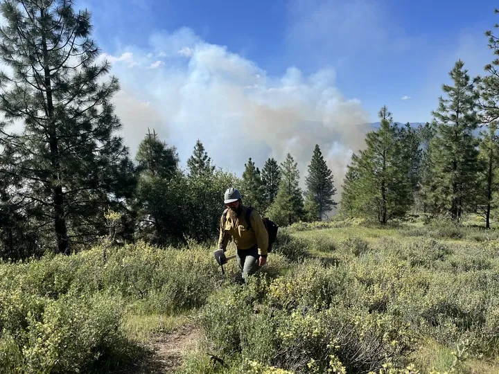 As western fires erupt, Trump’s Forest Service says it’s now fully staffed