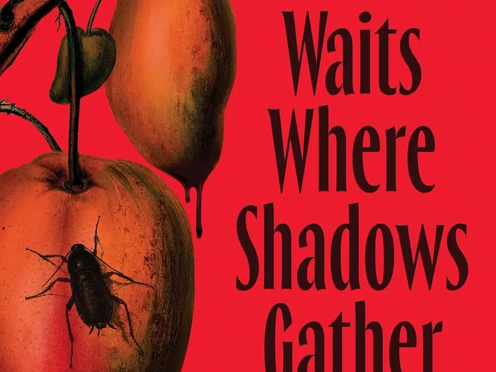 NPR staffers share their favorite fiction reads of 2026 so far 23 471374 71vhnihzfil sl1500