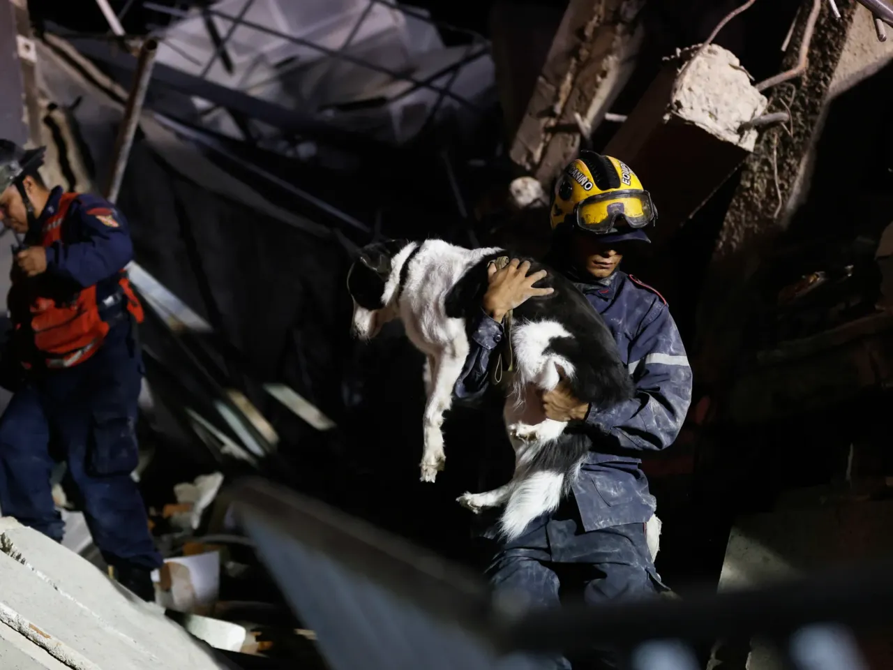 A firefighter rescues a dog from a building that collapsed after an earthquake.