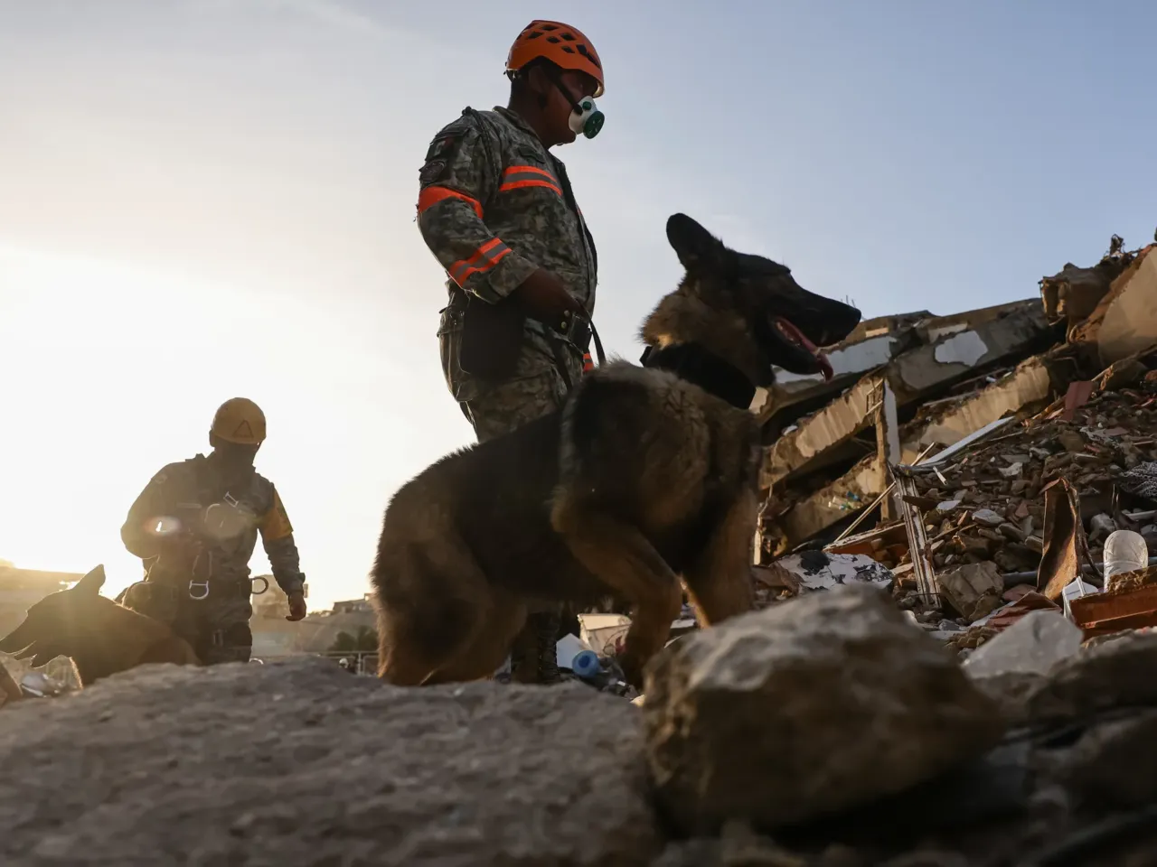 'We can still pull out live victims': LA rescuers join Venezuela quake rescue efforts 3 A Mexican team of rescuers continues the search for victims under the rubble of a building in Caraballeda, La Guaira, Venezuela, on Wednesday.