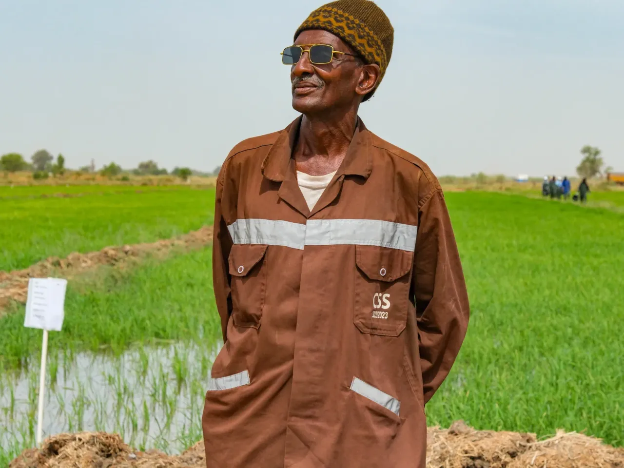 A promising tale from Senegal of fish, rice .... and dangerous worms 4 Dgibi Dia is a rice farmer who has had multiple painful bouts with schistosomiasis.