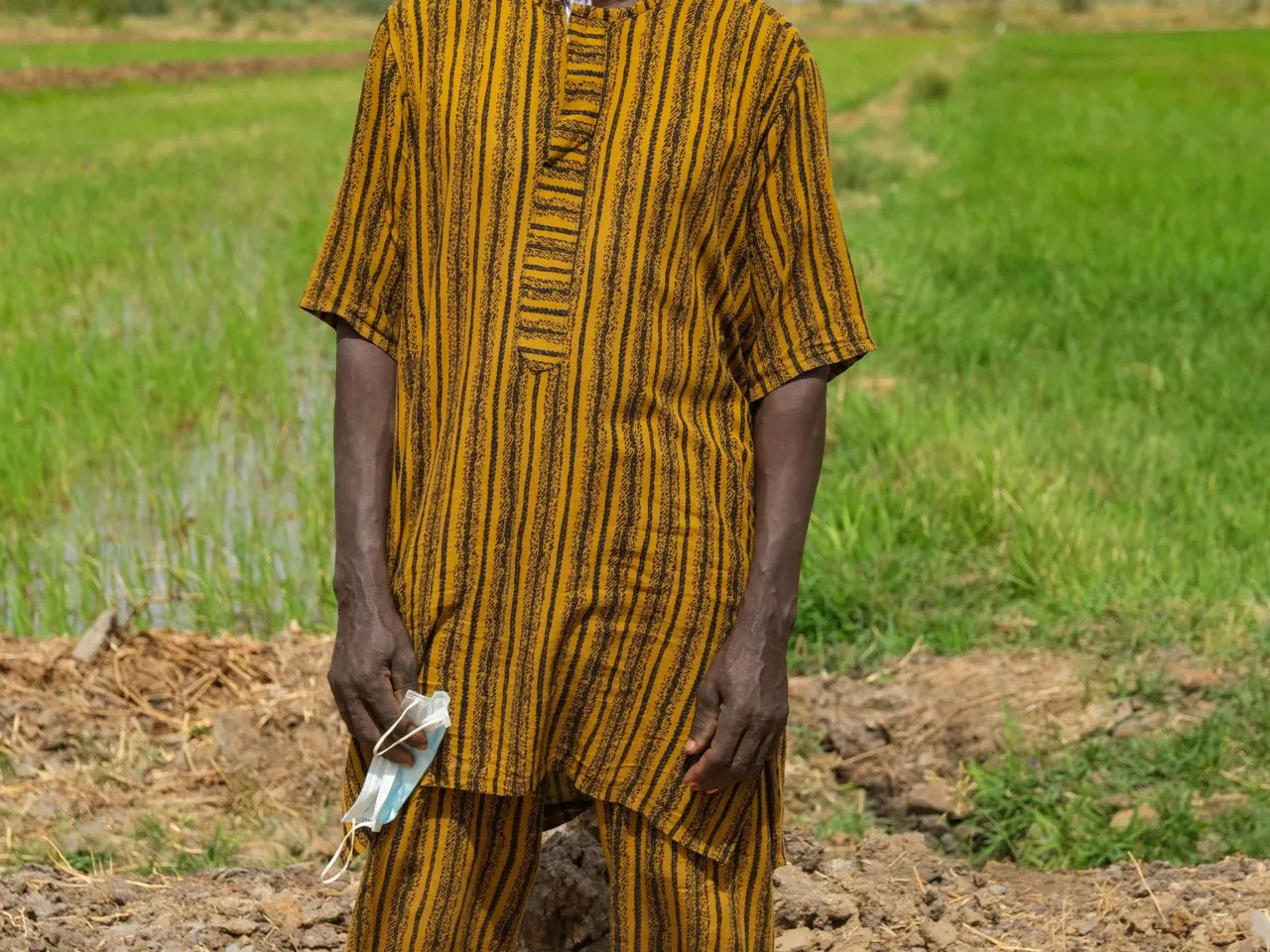 A promising tale from Senegal of fish, rice .... and dangerous worms 5 Rice farmer Abdoulaye Ndiaye hopes that adding fish to farms can help him avoid getting schistosomiasis.