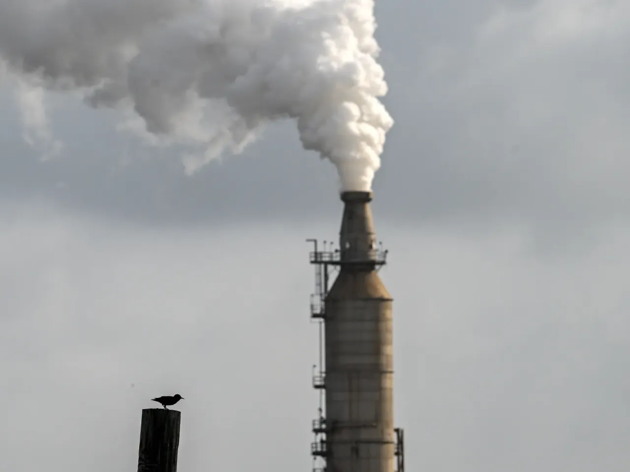 The U.S. oil industry is largely not a fan of this tax proposal, says Dustin Meyer, senior vice president with the American Petroleum Institute.