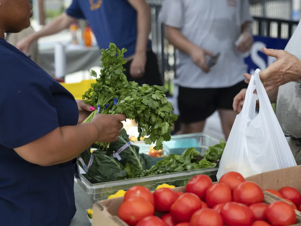 The White House pushes healthy eating. It cut a landmark nutrition education program 5 A customer purchases produce at a farmers market in Philadelphia on July 15.