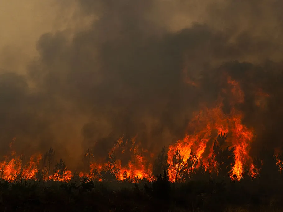 France continues to fight devastating wildfires, while progress is made in Spain 1 A forest burns during a wildfire near the town of Lege-Cap-Ferret, southwestern France, on Saturday.