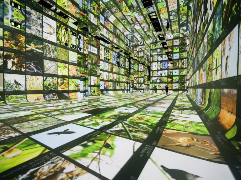 ‘Machines are collaborators’ at this new museum of AI art