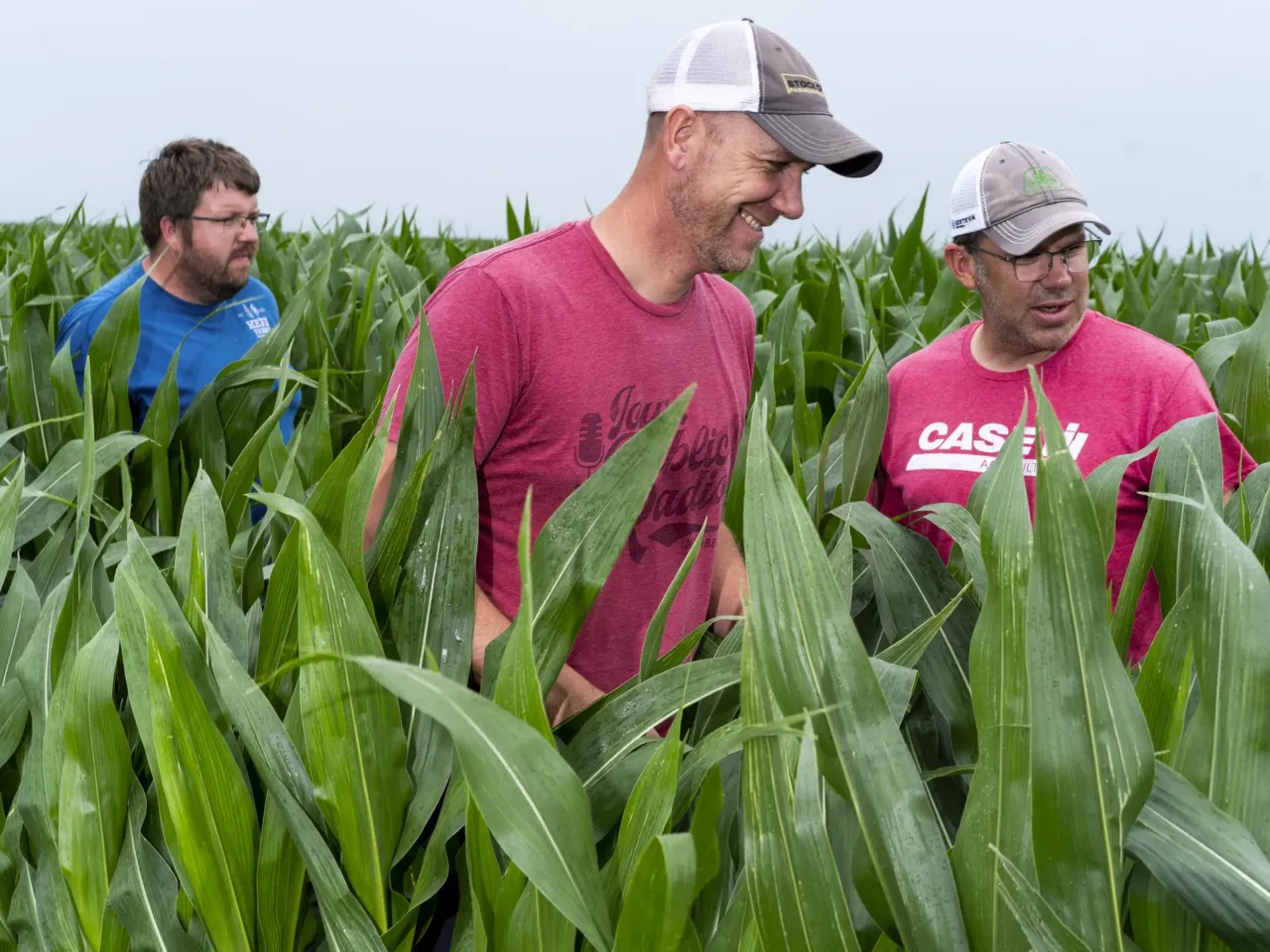 In Iowa, the water is so concerning that it could decide who wins the governor's race 1 James Hepp, Zack Smith and Matthew Bormann, known as the Lobe Rangers, examine one of Bormann's fields near Bode, Iowa, on July 1.