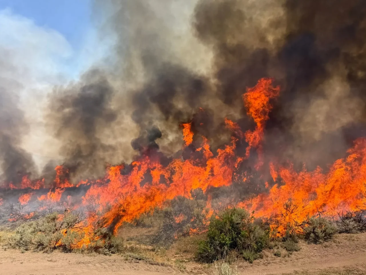 This undated photo provided by the U.S. Forest Service on Friday, Aug. 7, 2026, shows the Widemouth 2 wildfire burning near Richfield, Utah.