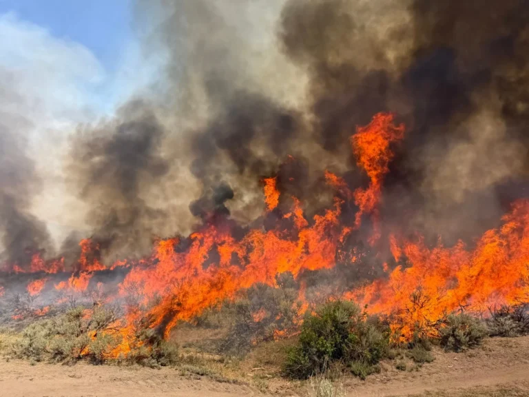 Crews battle wildfires in western U.S. and Canada
