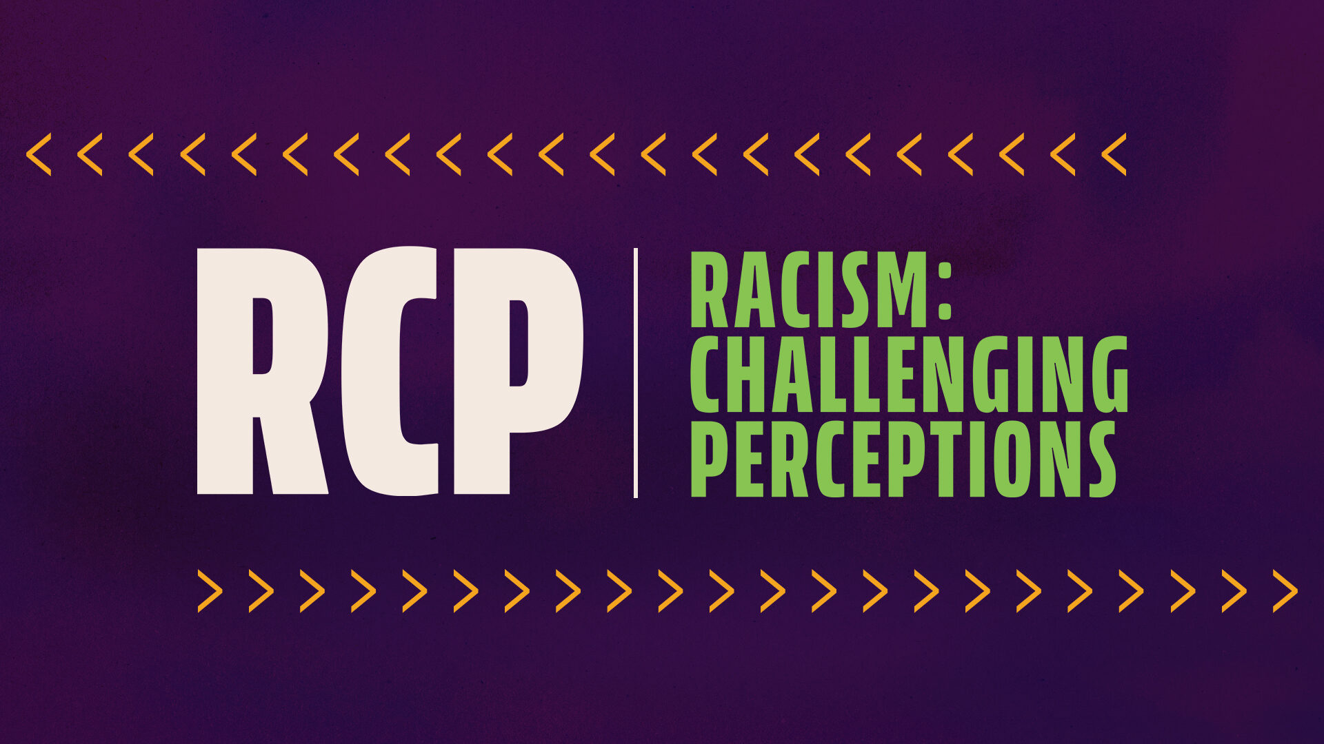 Racism: Challenging Perceptions series key art